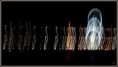/album/flou-et-reflets/i-17-copie-jpg/